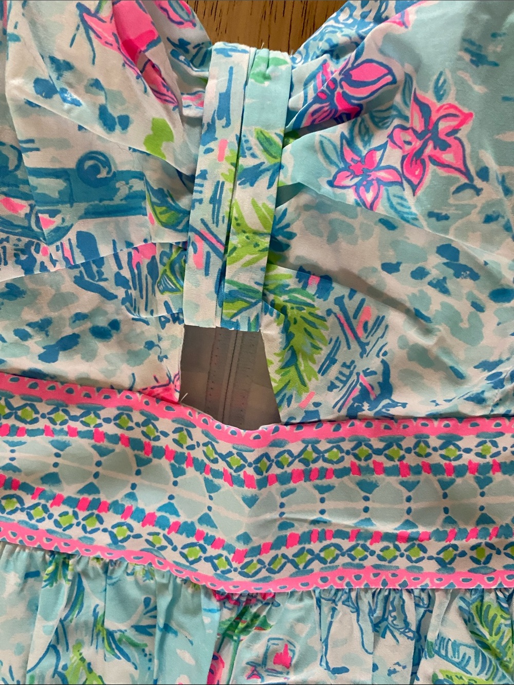 Lilly Pulitzer - Katlynn Dress - What A Lovely Place - Picture 3 of 3